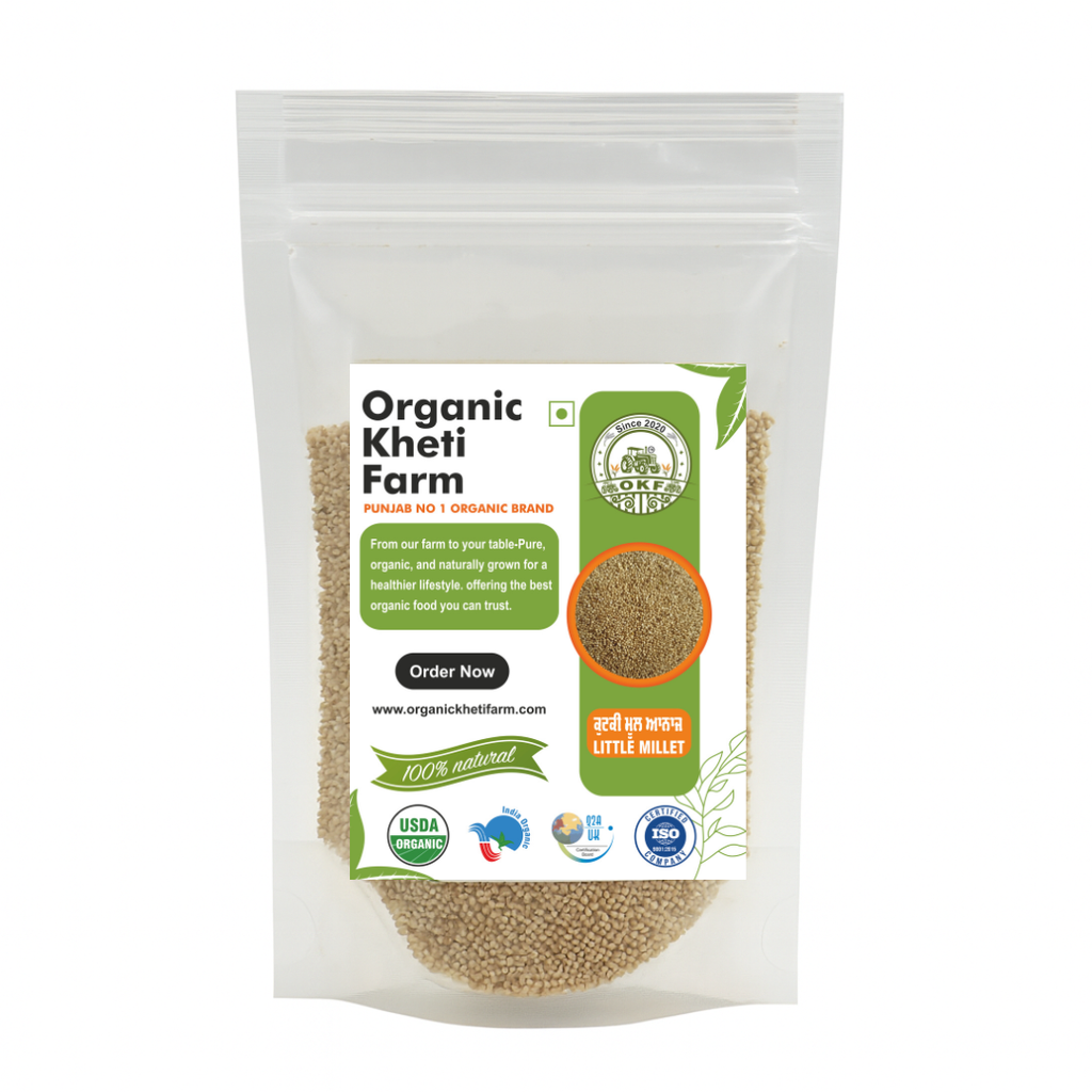 Organic Little Millet grains from Punjab farm, unpolished, natural, and farm-fresh for healthy cooking
