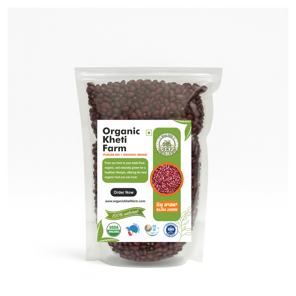 Close-up of organic Rajma Jammu kidney beans from Punjab farm, showing unpolished, sun-dried beans with earthy color and texture