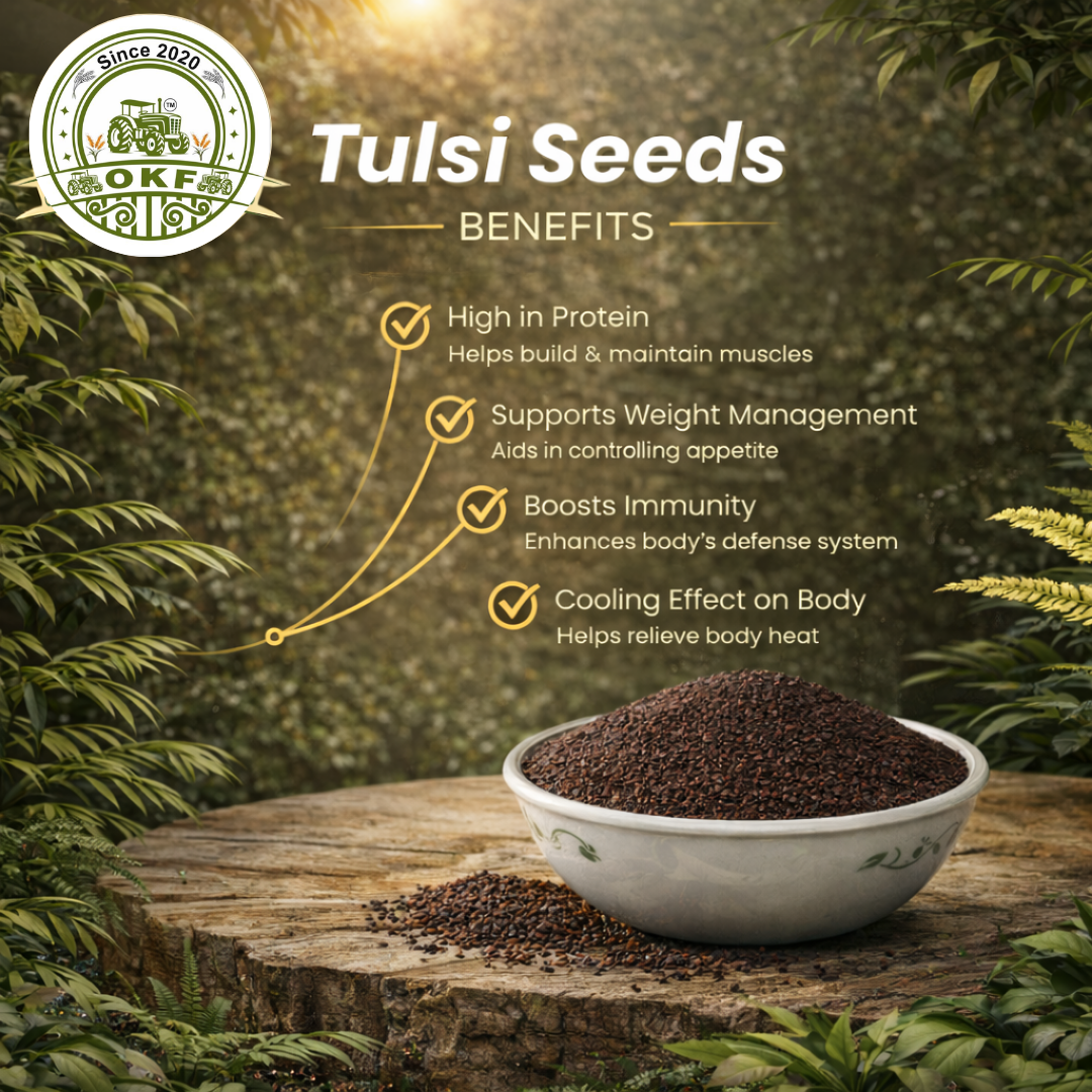 Organic Tulsi Seeds - image 3