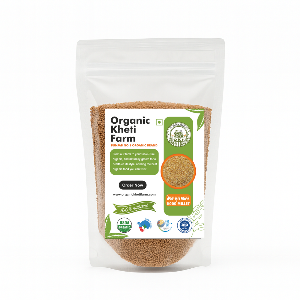 Close-up of organic unpolished Kodo millet grains from Punjab farm, showcasing natural, earthy texture and quality