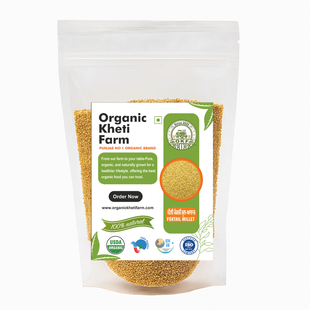 Fresh organic foxtail millet grains from Punjab farm, unpolished and natural, in a rustic bowl for healthy Indian cooking.