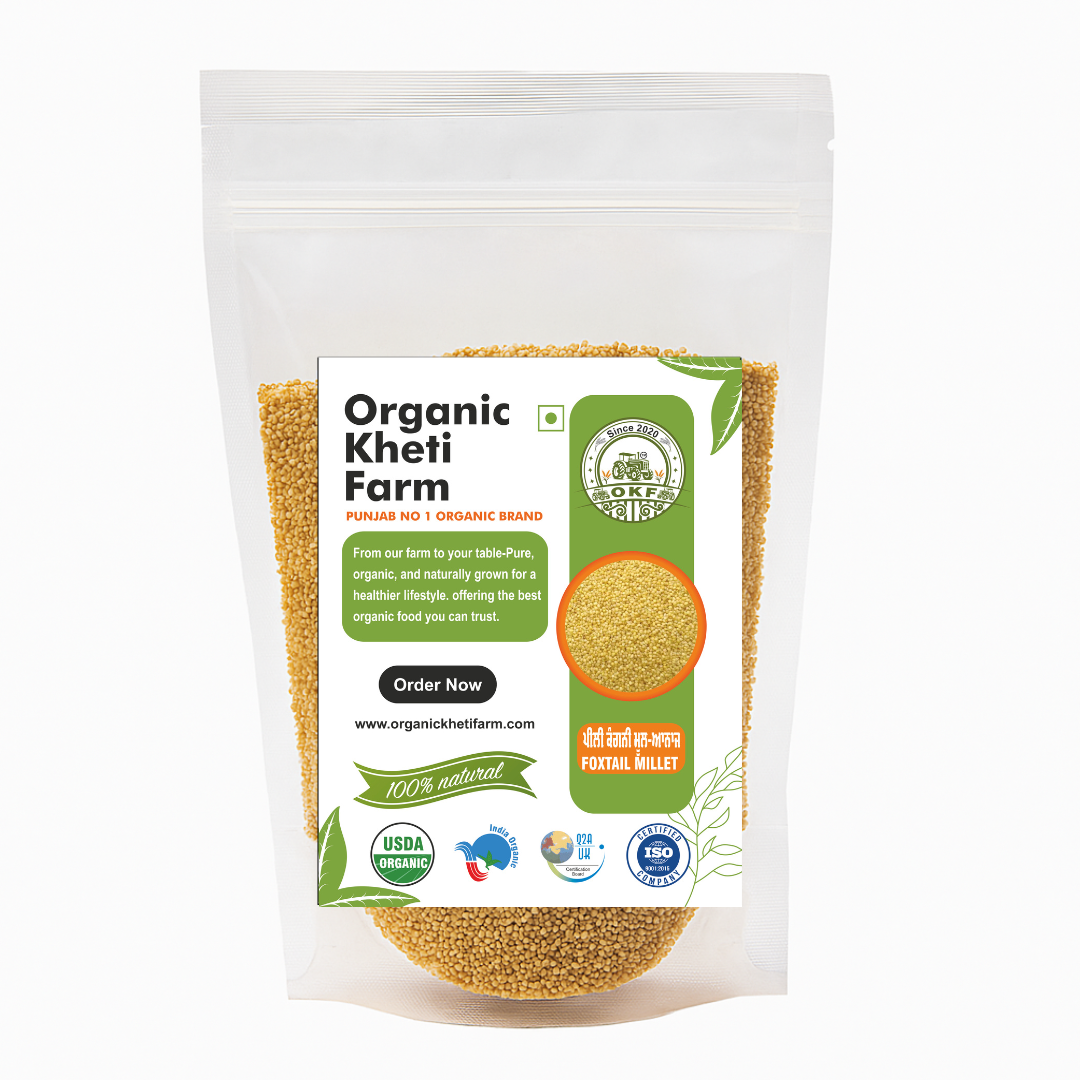 Fresh organic foxtail millet grains from Punjab farm, unpolished and natural, in a rustic bowl for healthy Indian cooking.