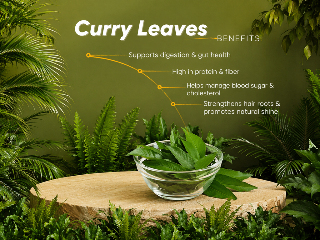 Curry Leaves - image 3