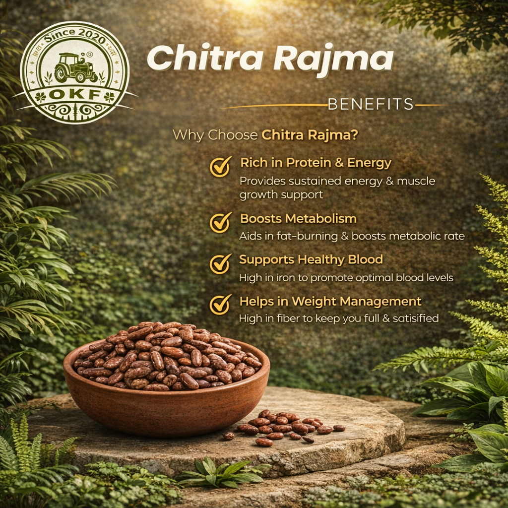 Organic Chitra Rajma - image 3