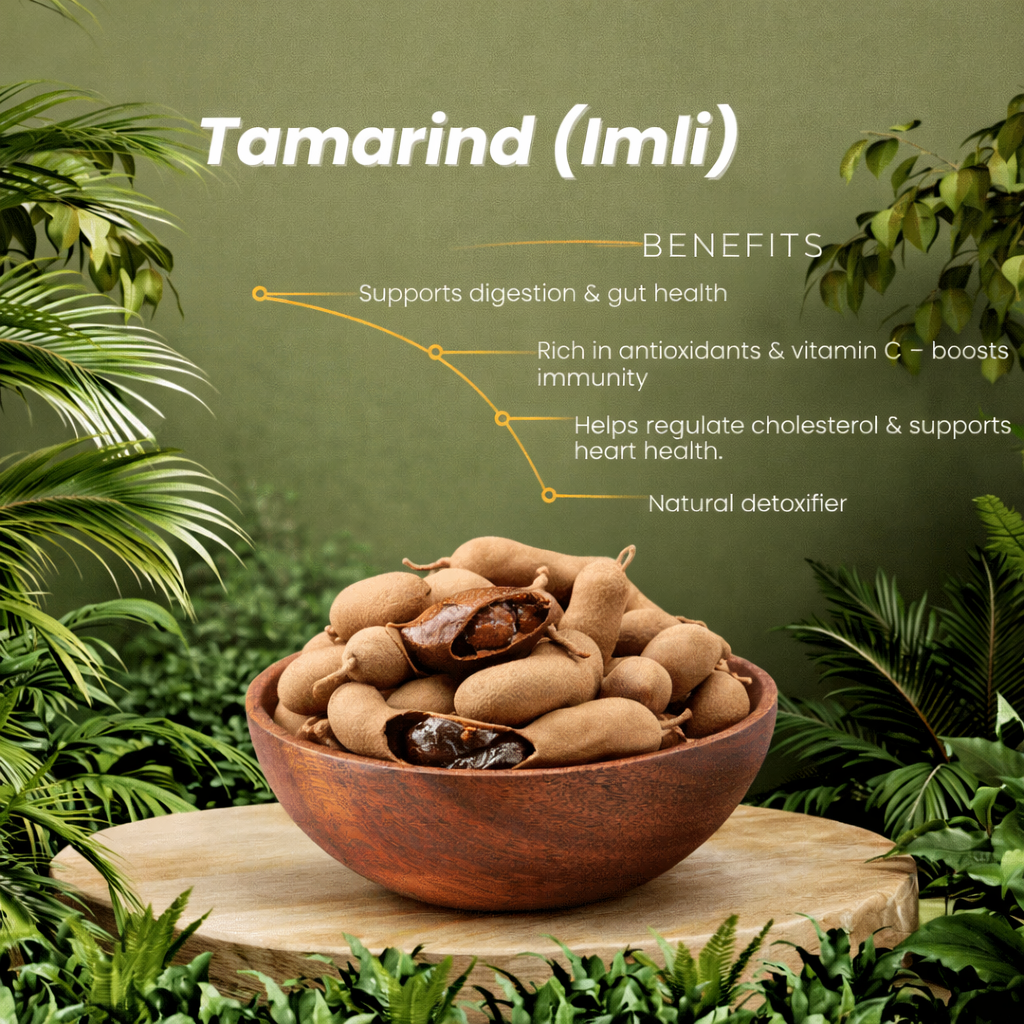 Tamarind (imli) - image 2