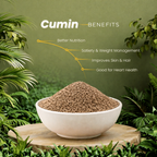 Organic Cumin Seeds (Jeera) - image 3
