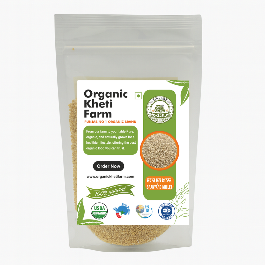 Close-up of unpolished organic barnyard millet grains from Punjab farm, highlighting natural texture and purity
