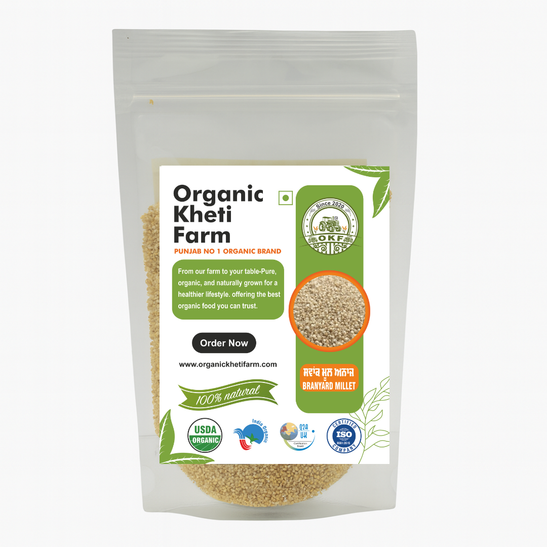 Close-up of unpolished organic barnyard millet grains from Punjab farm, highlighting natural texture and purity