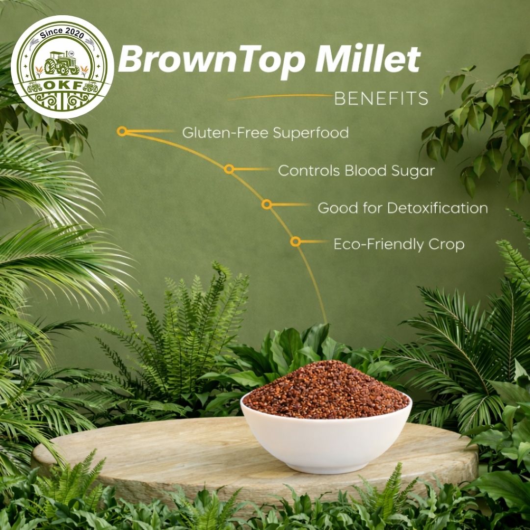 Brown Top Millet (Unpolished) - image 3
