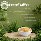 Organic Foxtail Millet Flour - image 3