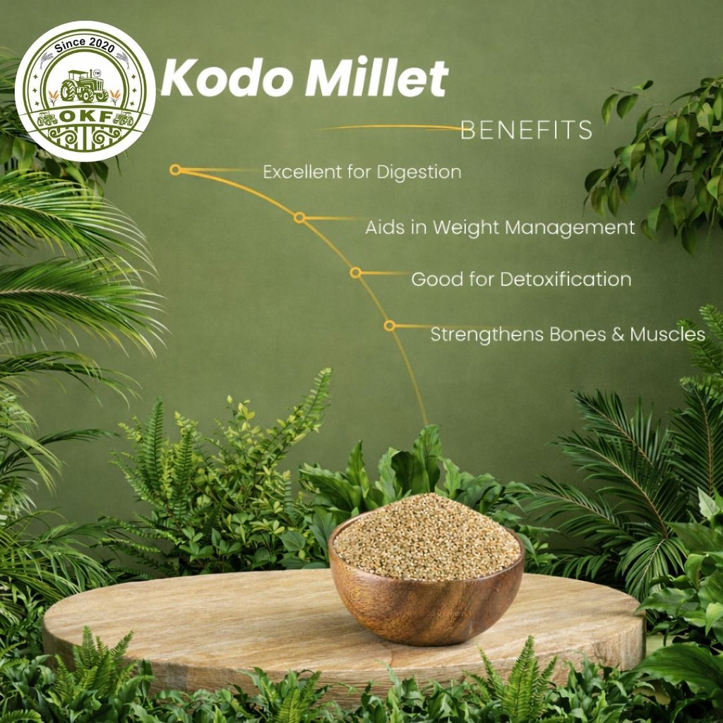Organic Kodo Millet (Unpolished) - image 3