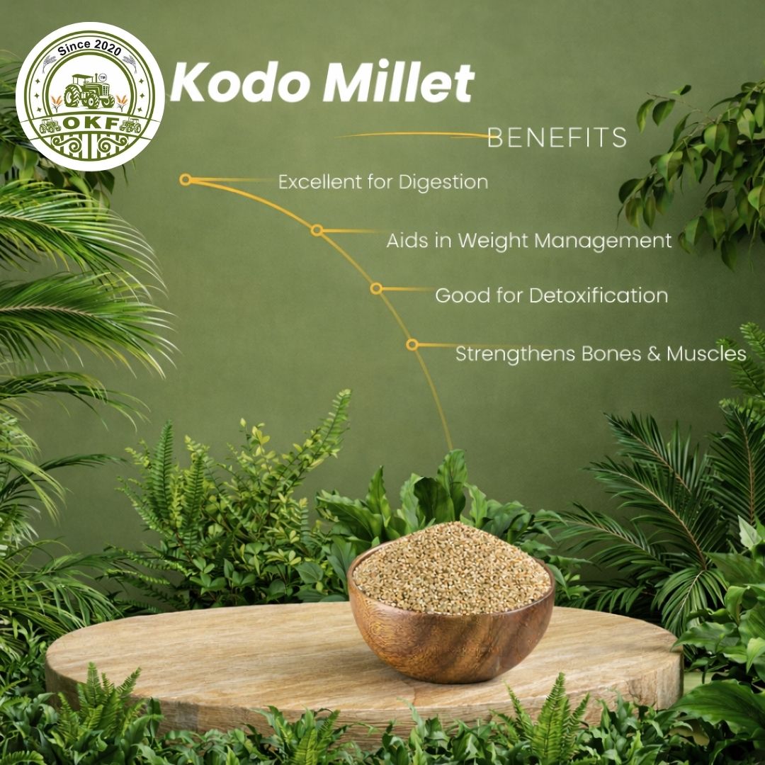 Organic Kodo Millet (Unpolished) - image 3