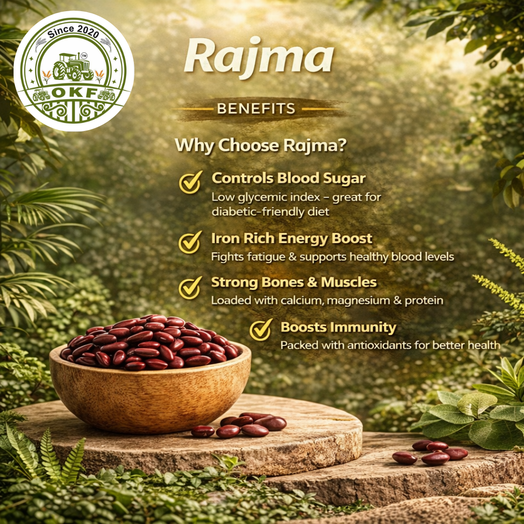 Organic Red Rajma - image 3