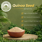 Organic White Quinoa Seeds - image 3