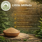 Organic Little Millet (Unpolished) - image 3