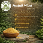 Foxtail Millet (Unpolished) - image 3