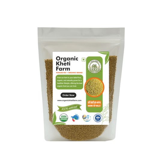 Close-up of unpolished brown top millet grains from Punjab farm, showcasing natural texture and earthy color
