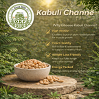 Organic Kabuli Chana - image 3
