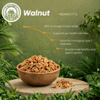 Organic Walnut Kernels - image 2