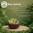 Bay Leaves - image 3