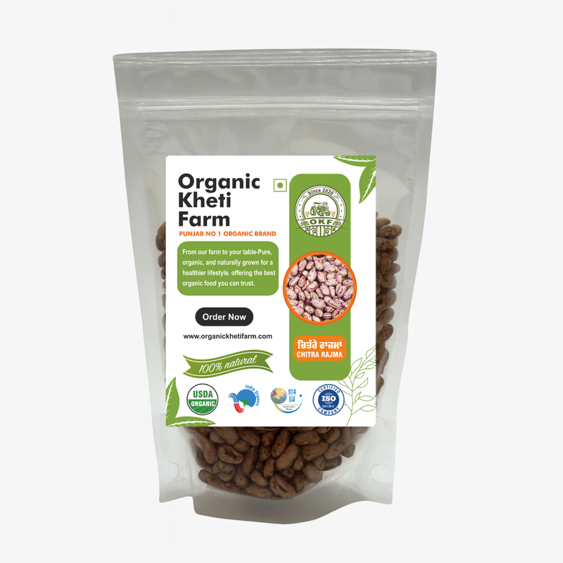 Close-up of organic Chitra Rajma kidney beans from Punjab farm